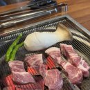 찬미돼지 이미지