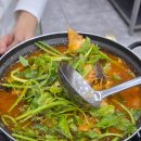 형제상회 | 노량진 형제상회 내돈내산 식사 후기 | 초장집 연결받는 법 | 또순이네 | 전어,농어,도미