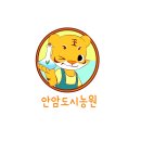 크린송