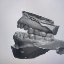 삼화치과기공소 이미지