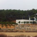 세종공원 이미지