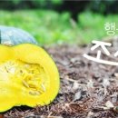 삼춘농산물