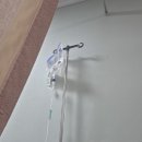 담담히 | 유산일기 고사난자 계류유산 소파술 후기 비용 준비물 필요할까요
