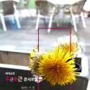 사단법인 공감과 소통 이미지