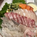 통영양어협동조합 | 바다생협 대광어 대전둔산본점-가성비 횟집 추천 메뉴 주차 후기