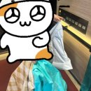 송지호 모네블루 펜션 이미지