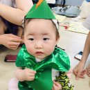 도로시의숲