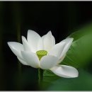 오*규 이미지