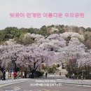 국립서울현충원 이미지