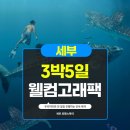 필리핀 세부여행 3박5일 후기 현지여행사 추천