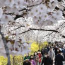 전주아름다운피부과의원 이미지