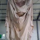 에이스세탁 이미지