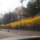 아성자동차공업사 | 용인중고차 수원중고차 : 용인시 기흥구 그랜드스타렉스12인 어린이보호차량 중고차판매 어린이집차량매매