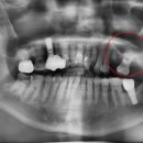 경대본치과의원 이미지