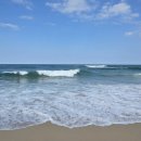 별미횟집 이미지