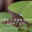 민들레국수 이미지