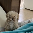 오늘 더 예쁘개 이미지