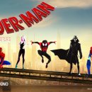 (주)뉴유니버스 이미지