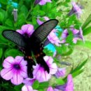 수달펜션 이미지