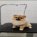 이쁘개몽 이미지