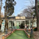 청시행 | 강릉 수제버거 맛집 청시행 임실버거 강릉버거 내돈내산 후기