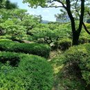 이조시대 이미지