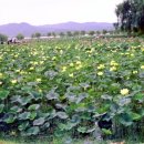 서동요 촬영지 이미지