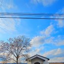 쌍용자동차공업사 이미지