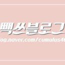 구월가 네이버블로그