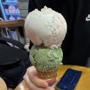 쿵푸마라탕1988 이미지