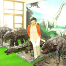 공룡박물관 이미지