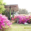 행복농장 5 이미지