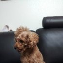 송헤어샾 - 영광군 | 송헤어샾