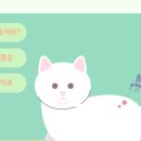 해옴동물병원 이미지