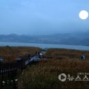 달빛마을 영농조합법인 이미지