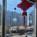 1985금화중식당 이미지