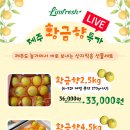 우림테일 네이버블로그