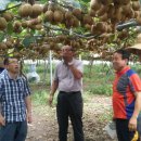 늘푸른농장 1 이미지