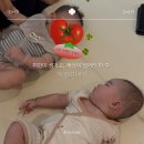 생후 25주차 육아일기 | 취향이 생기고, 세상이 넓어진 한 주