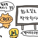 매직라이프