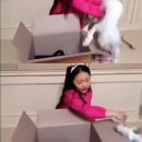 구사