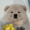 화산로R 이미지