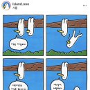 명동서울밝은안과의원 이미지