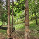 수희재 한옥펜션 이미지