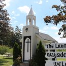 리빙워터(Living water) 이미지