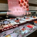 경기도 수원시 팔달구 인계로 | [수원/인계동] 애슐리퀸즈 뉴코아 동수원점 / 내돈내산 / 애슐리 딸기축제 올데이 19,900원 후기