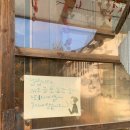 복권목장 이미지