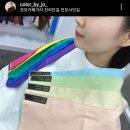 컬러바이조