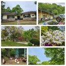 녹색환경연합(주) | 생명회복 개발원/21일 단식(금식)체험 후기