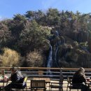 스카이비즈넷(주) | 12월 넷, 마지막 주 / 많은 일이 있던 2025년도 끝~ 🎄